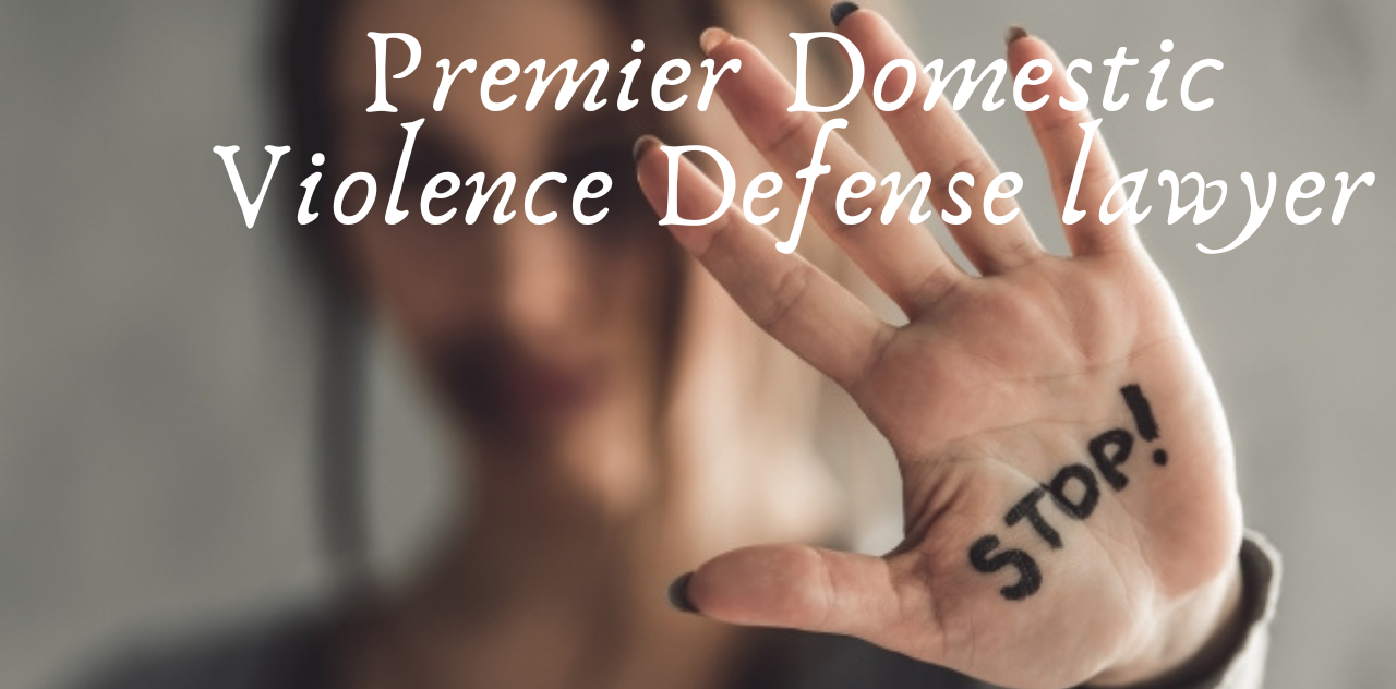 Premier Domestic Violence Defense lawyer Get Help Now 2024